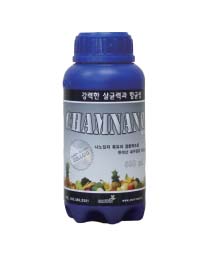 참나노