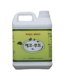 에코-루트