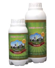 뉴참청